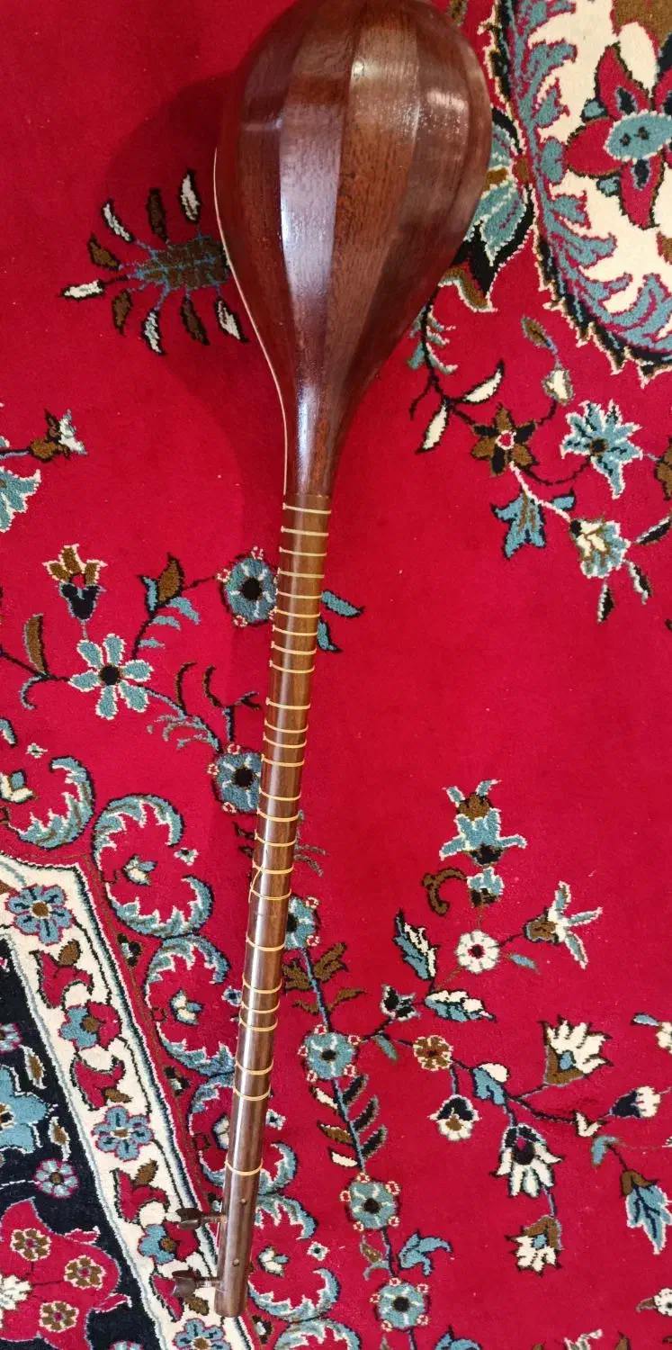 سه تار|سازهای سنتی|سبزوار, باهنر|دیوار