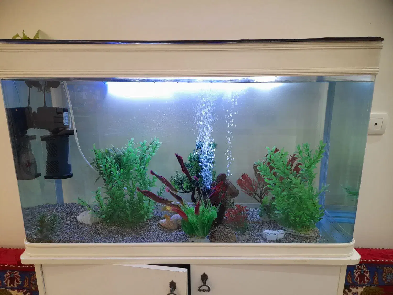 آکواریوم شیشه خم با پایه با تمام وسایل|ماهی|یونسی, |دیوار