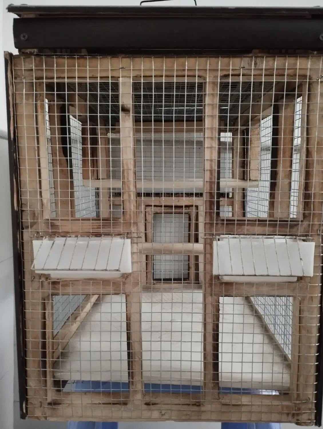 قفس سهره|لوازم جانبی حیوانات|ساوه, |دیوار