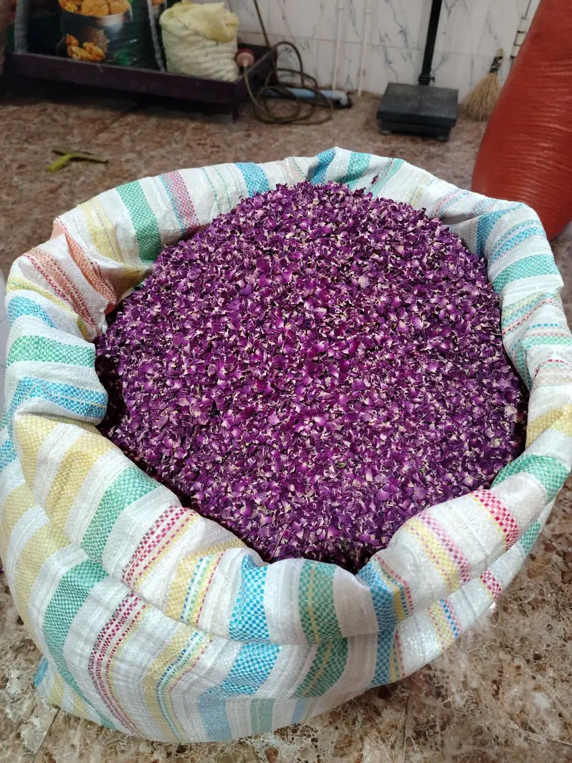 گل محمدی|عمده‌فروشی|آذرشهر, |دیوار