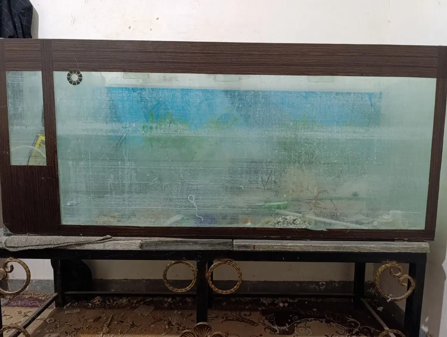 آکواریوم|ماهی|ایرانشهر, |دیوار