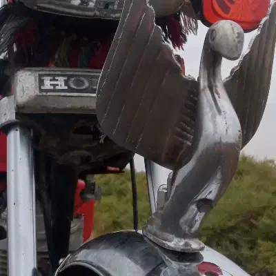 یک عدد قو|قطعات یدکی و لوازم جانبی|سیمین شهر, |دیوار