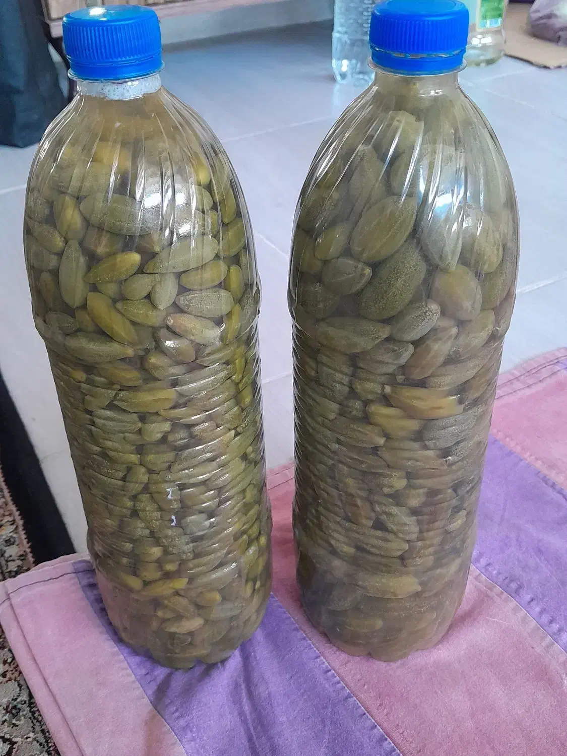 هندوانه‌ی‌کوهی‌یاهمان‌داغ‌قارپیزی|خوردنی و آشامیدنی|تبریز, |دیوار