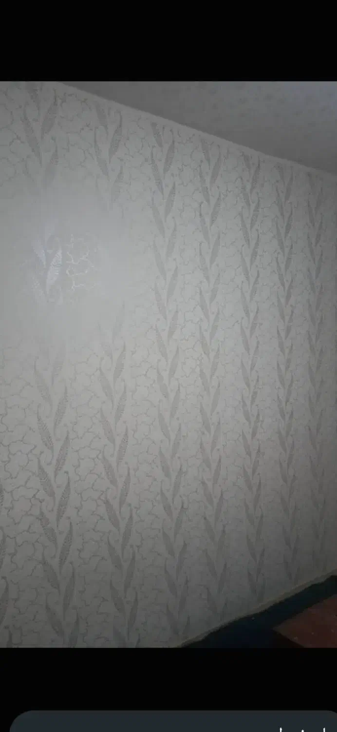 نقاشی  ویلا|خدمات پیشه و مهارت|رستم‌آباد, |دیوار