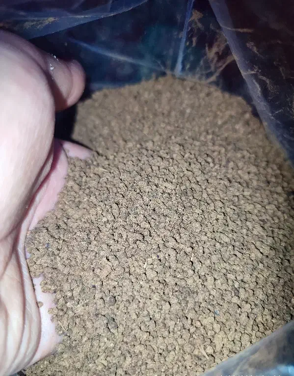 چای|خوردنی و آشامیدنی|شیراز, شهرک مهدی‌آباد|دیوار