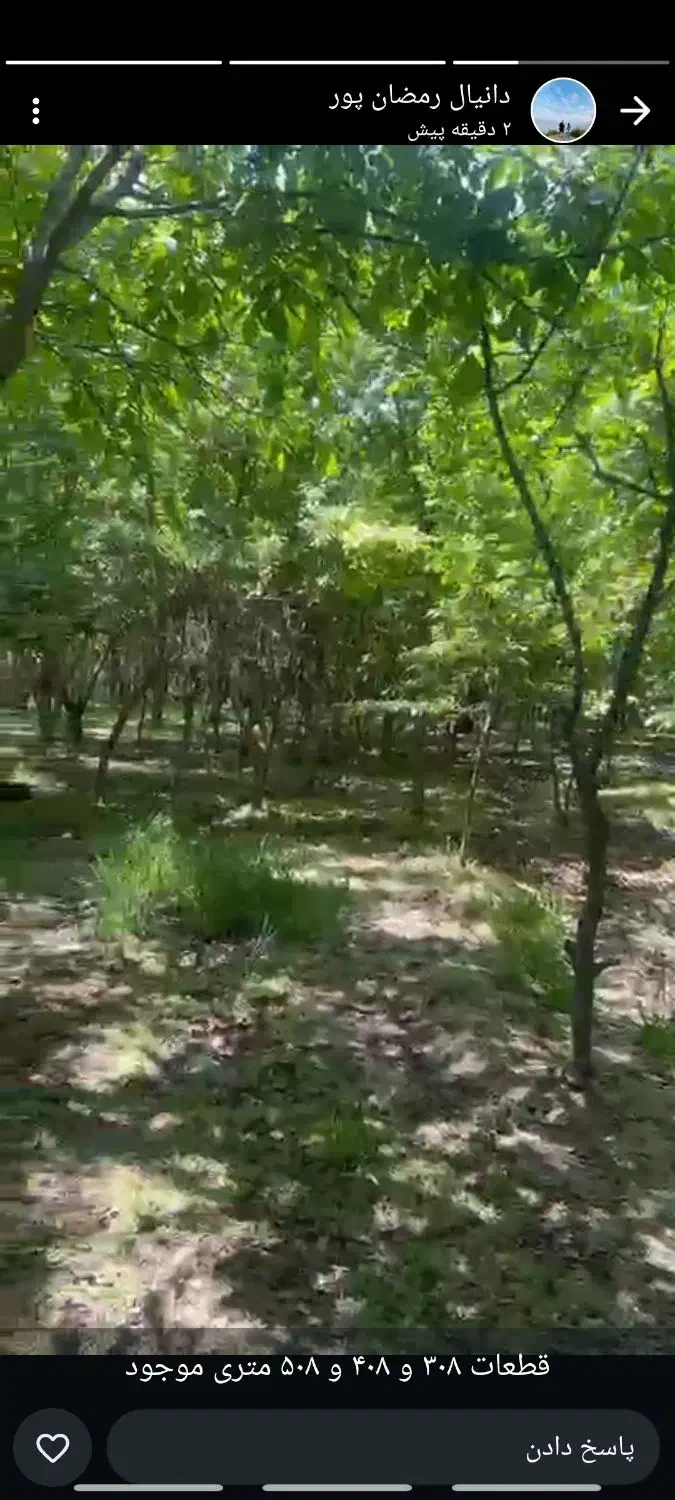 ۵۰۰ متر زمین ،موقعیت استثنایی، سهیلیه|فروش زمین و ملک کلنگی|هشتگرد, کوی یاران|دیوار