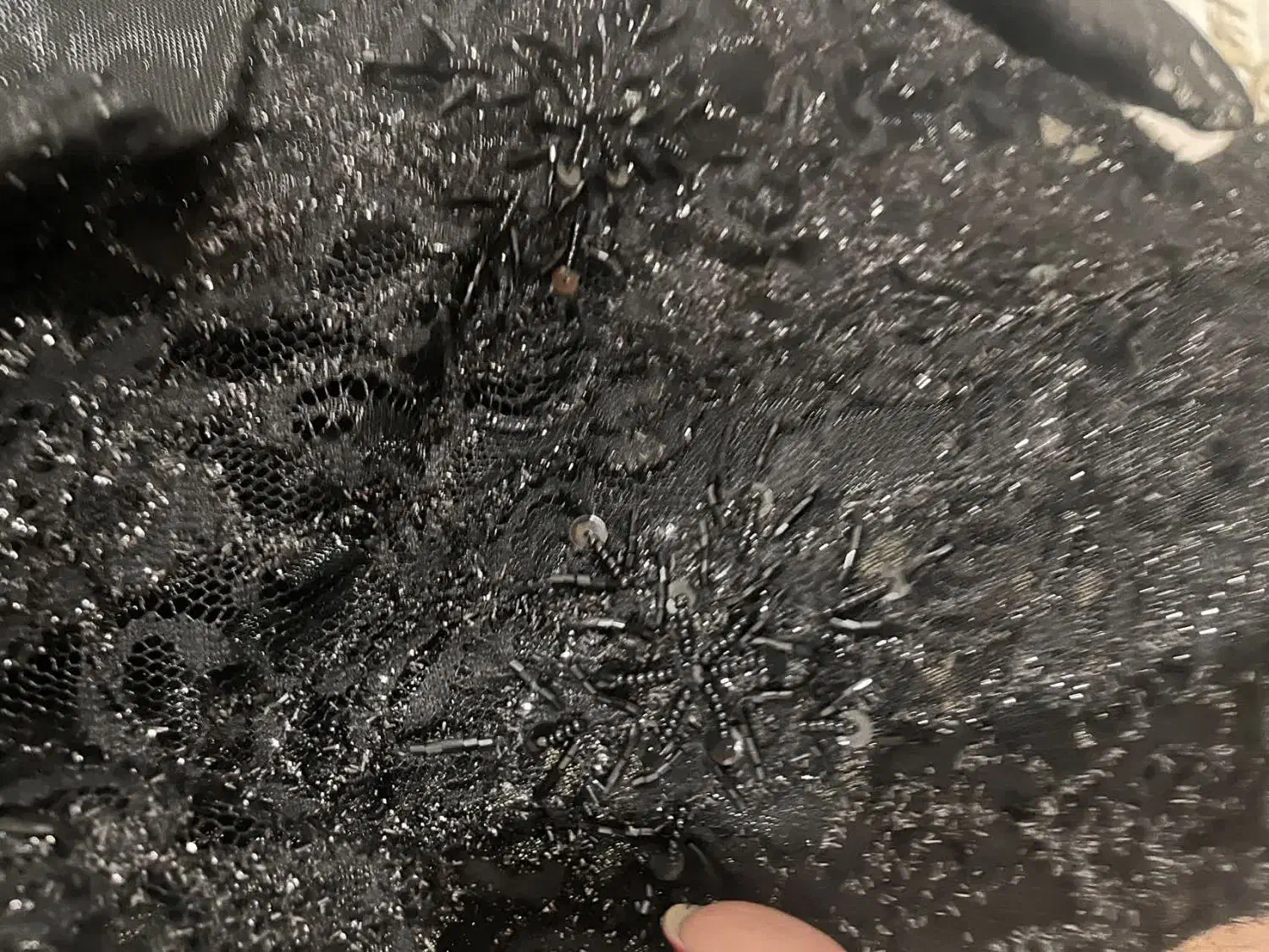 پیراهن مجلسی|لباس|پاکدشت, پاکدشت (مامازند)|دیوار