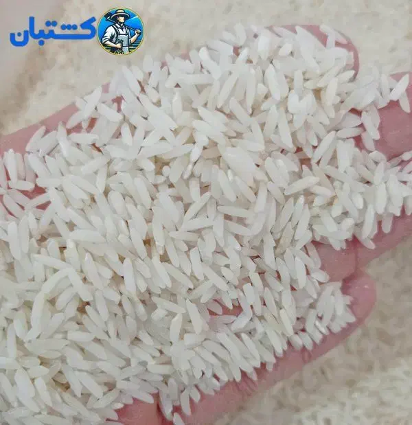 برنج هاشمی ممتاز (تضمین شده)|خوردنی و آشامیدنی|تهران, آرژانتین|دیوار