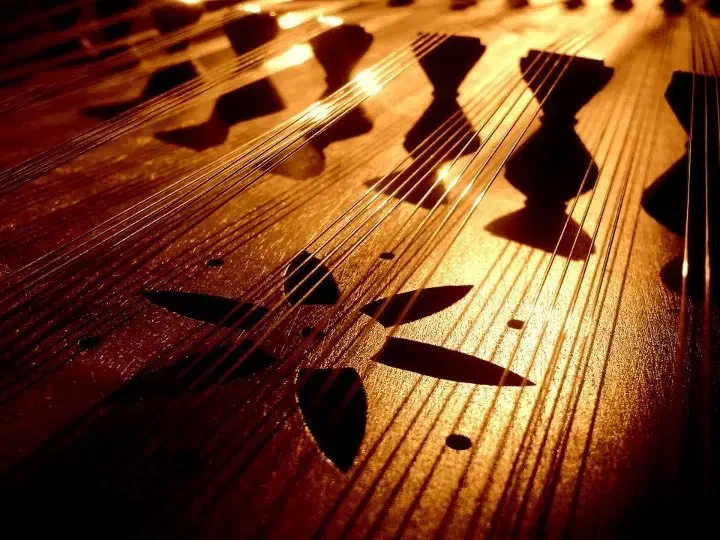 آموزش سنتور|خدمات آموزشی|رشت, حسین آباد|دیوار