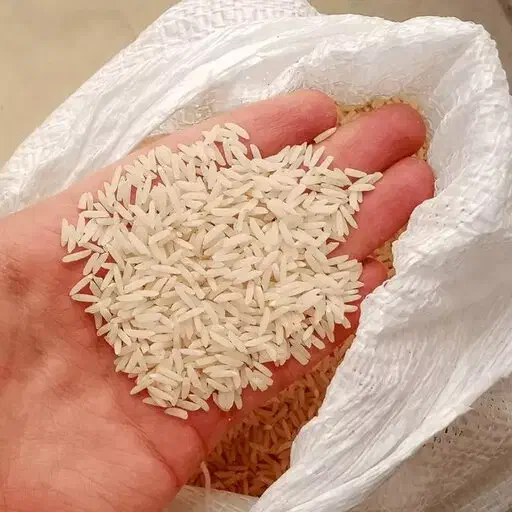انواع برنج ممتاز و درجه ۱ شمال زیبا|خوردنی و آشامیدنی|هشتگرد, شهرک بعثت|دیوار