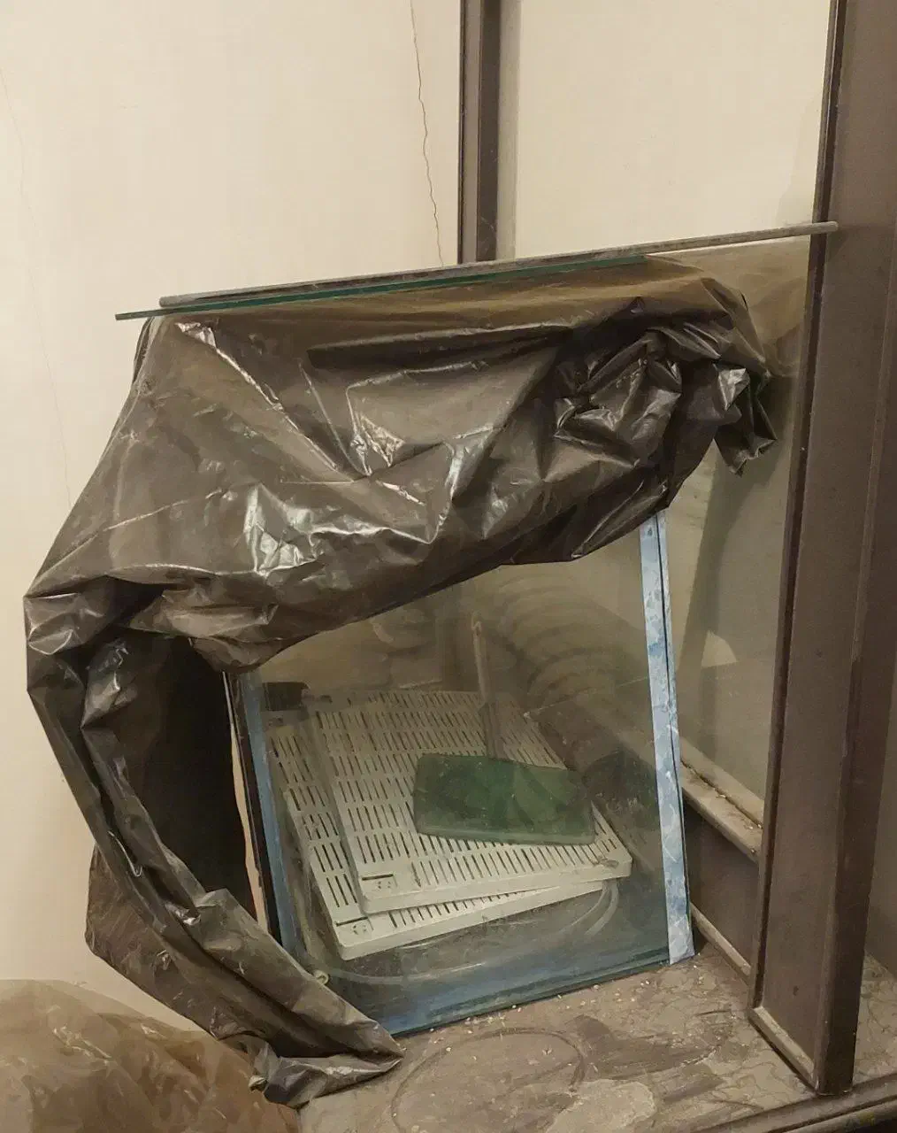 آکواریوم شیشه ای|ماهی|گلپایگان, |دیوار