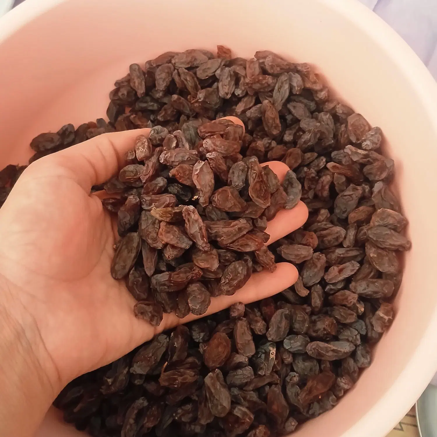 مویز|خوردنی و آشامیدنی|شیراز, لاله|دیوار