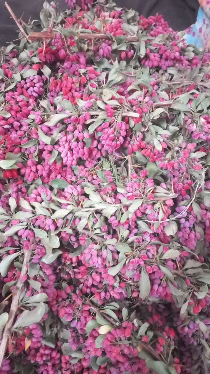 زرشک تازه|خوردنی و آشامیدنی|درمیان, |دیوار