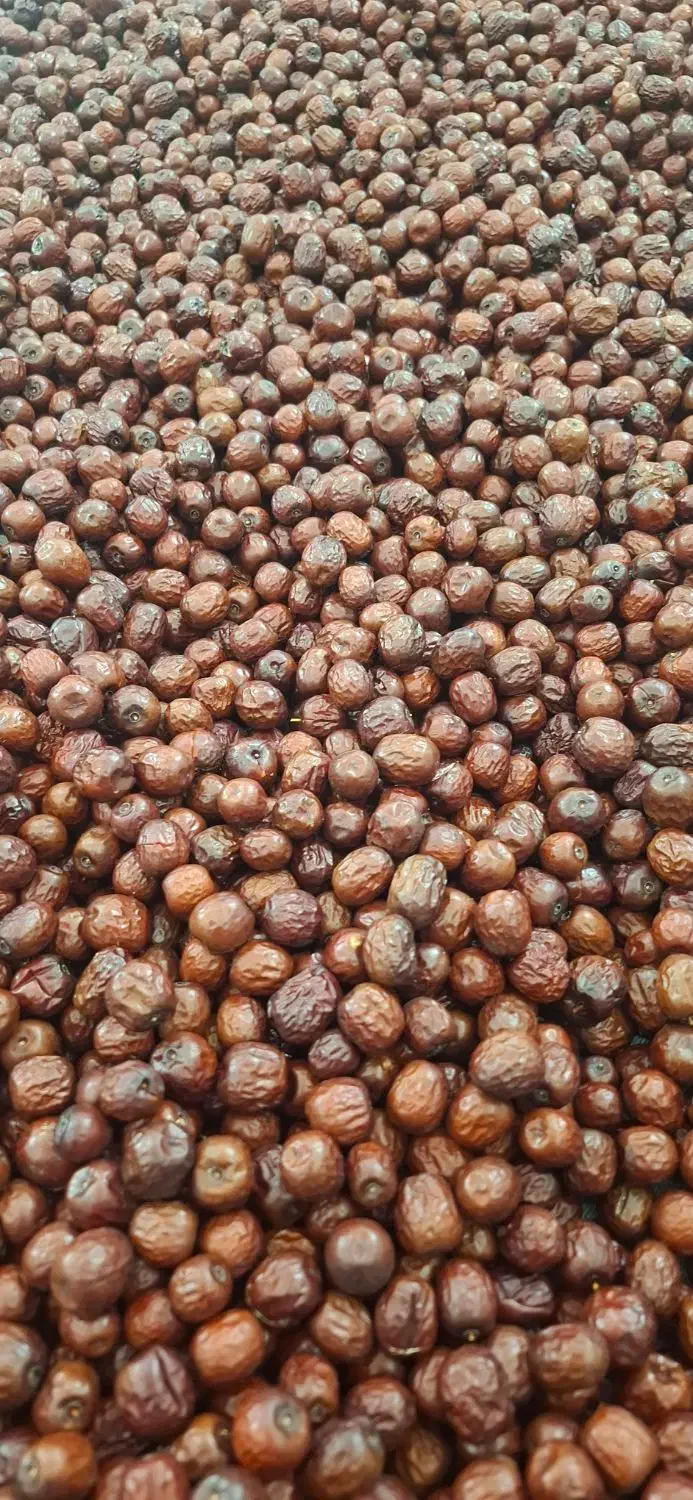 عناب بیرجند یلدا|خوردنی و آشامیدنی|تهران, افسریه جنوبی|دیوار