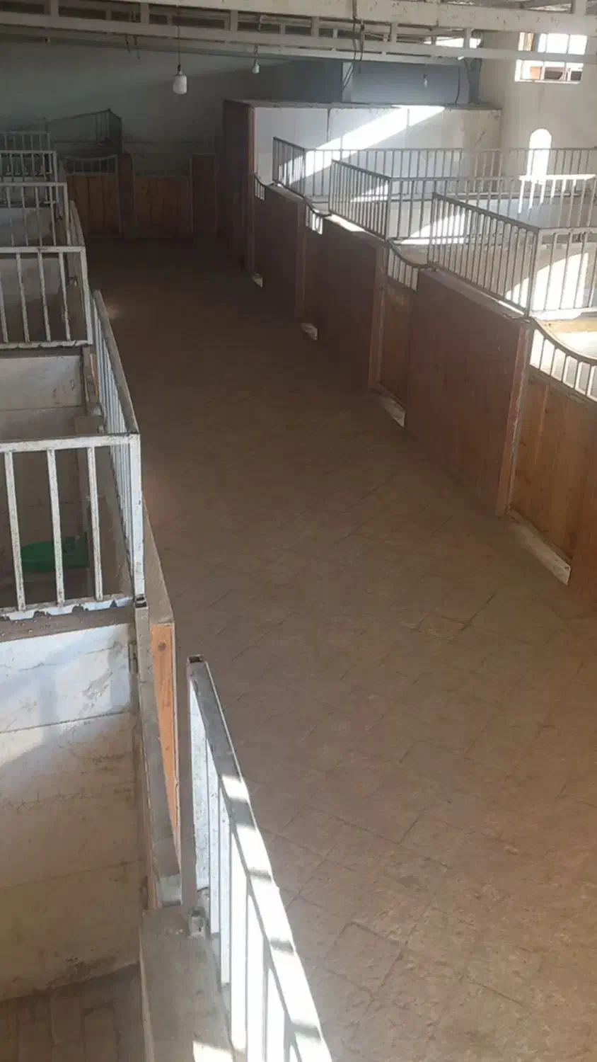 پانسیون و نگهداری اسب در باشگاه|اسب و تجهیزات اسبسواری|اصفهان, قهجاورستان|دیوار