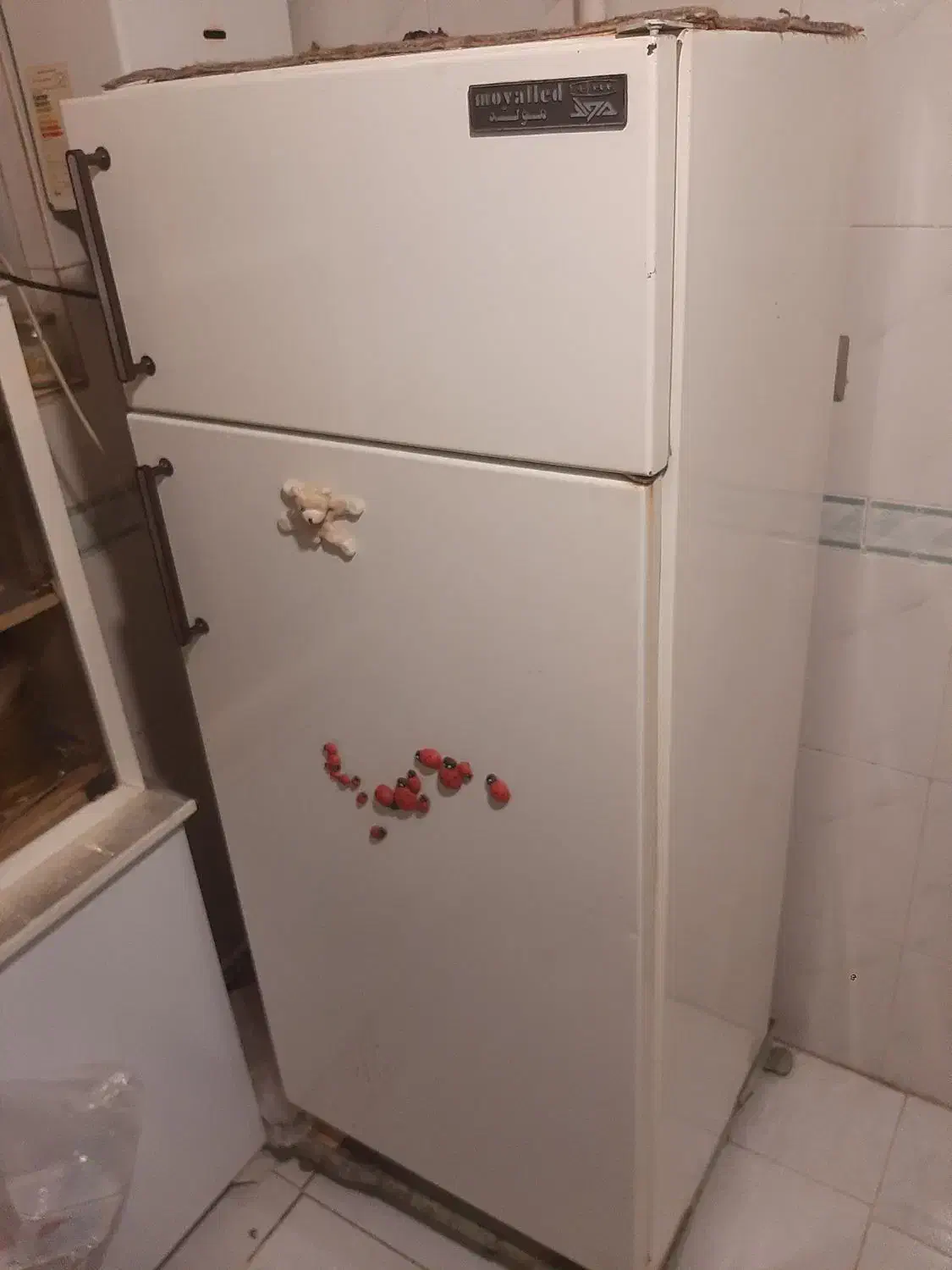 یخچال|یخچال و فریزر|مراغه, |دیوار