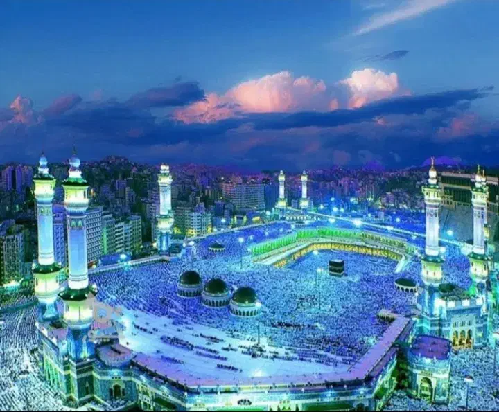 فیش حج|تور و چارتر|میاندوآب, |دیوار