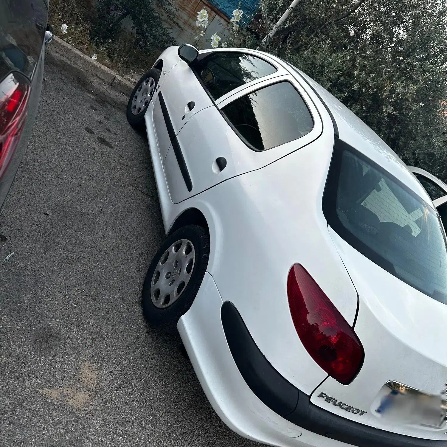 206 sd v8|خودرو سواری و وانت|شیراز, گلدشت معالی‌آباد|دیوار
