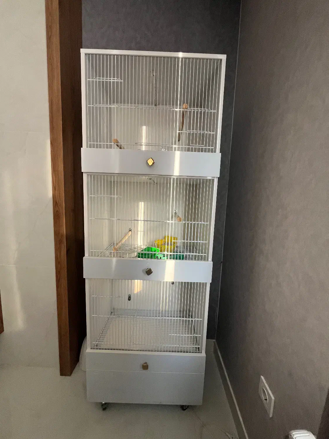 قفس اروپایی ۳ طبقه|لوازم جانبی حیوانات|شیراز, شهرک گلستان|دیوار
