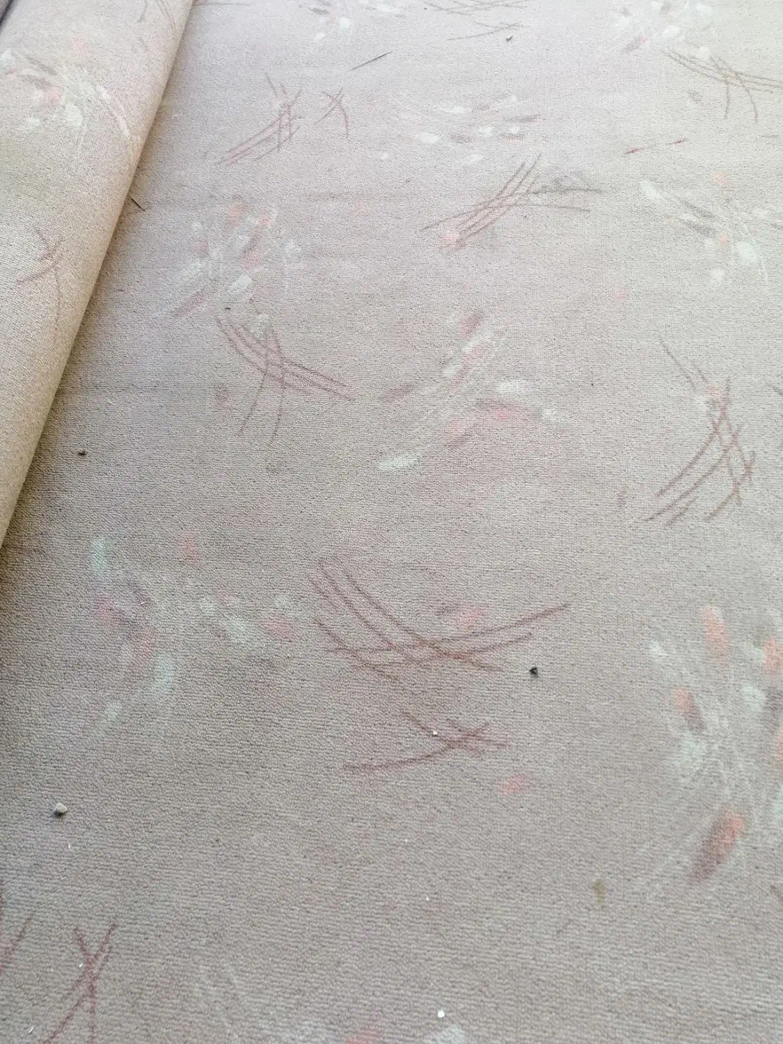 موکت|موکت|شیراز, حجت آباد|دیوار