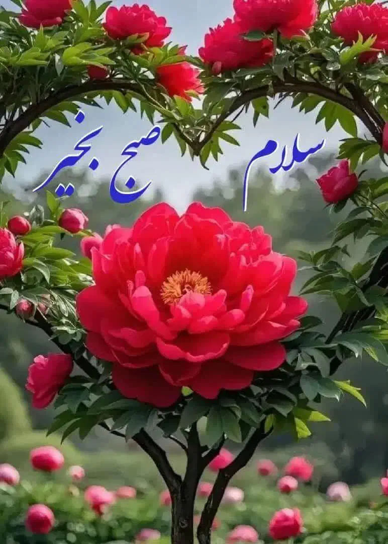 منشی مطب|استخدام درمانی، زیبایی، بهداشتی|شهریار, شهریار|دیوار