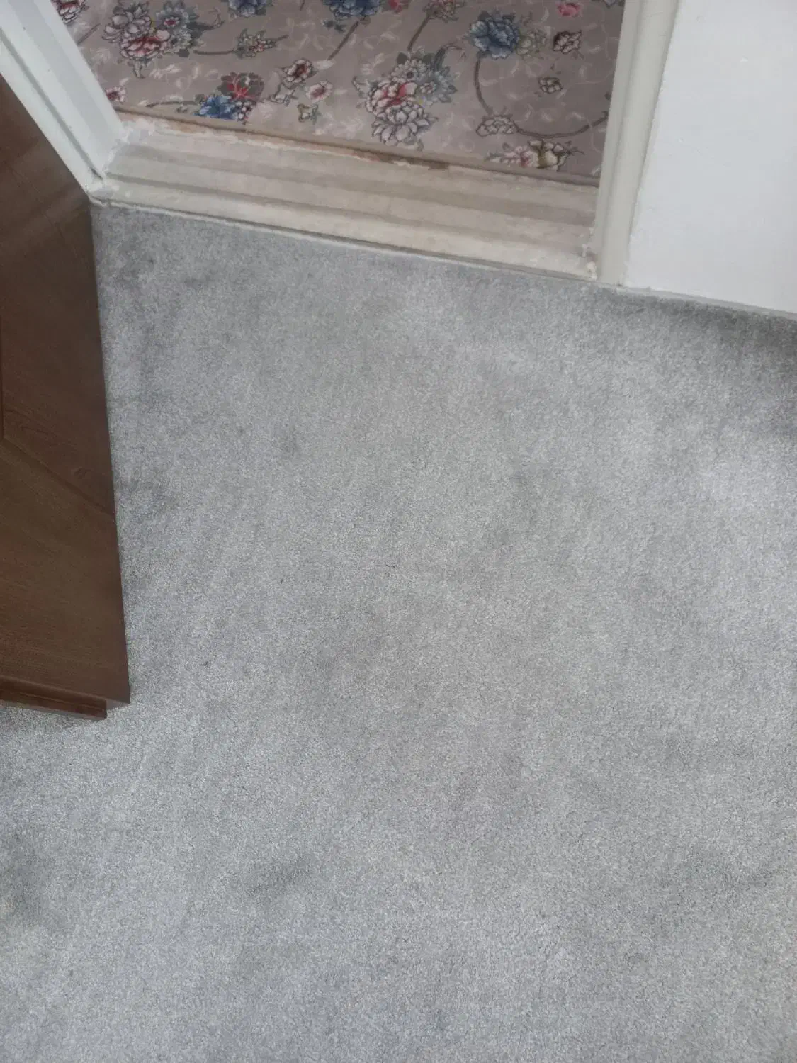 موکت پرزبلند پالاز درجه یک|موکت|یزد, |دیوار