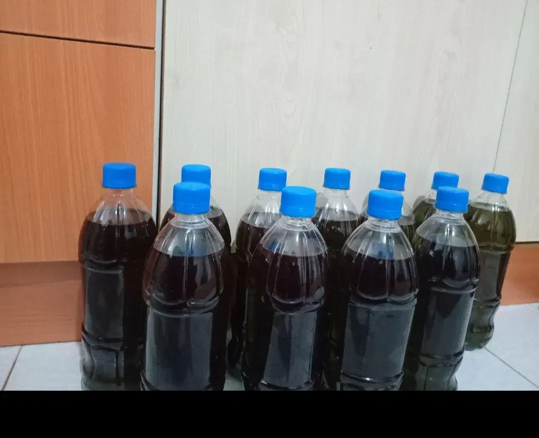 فروش روغن زیتون ناب مینودشت|خوردنی و آشامیدنی|مینودشت, |دیوار