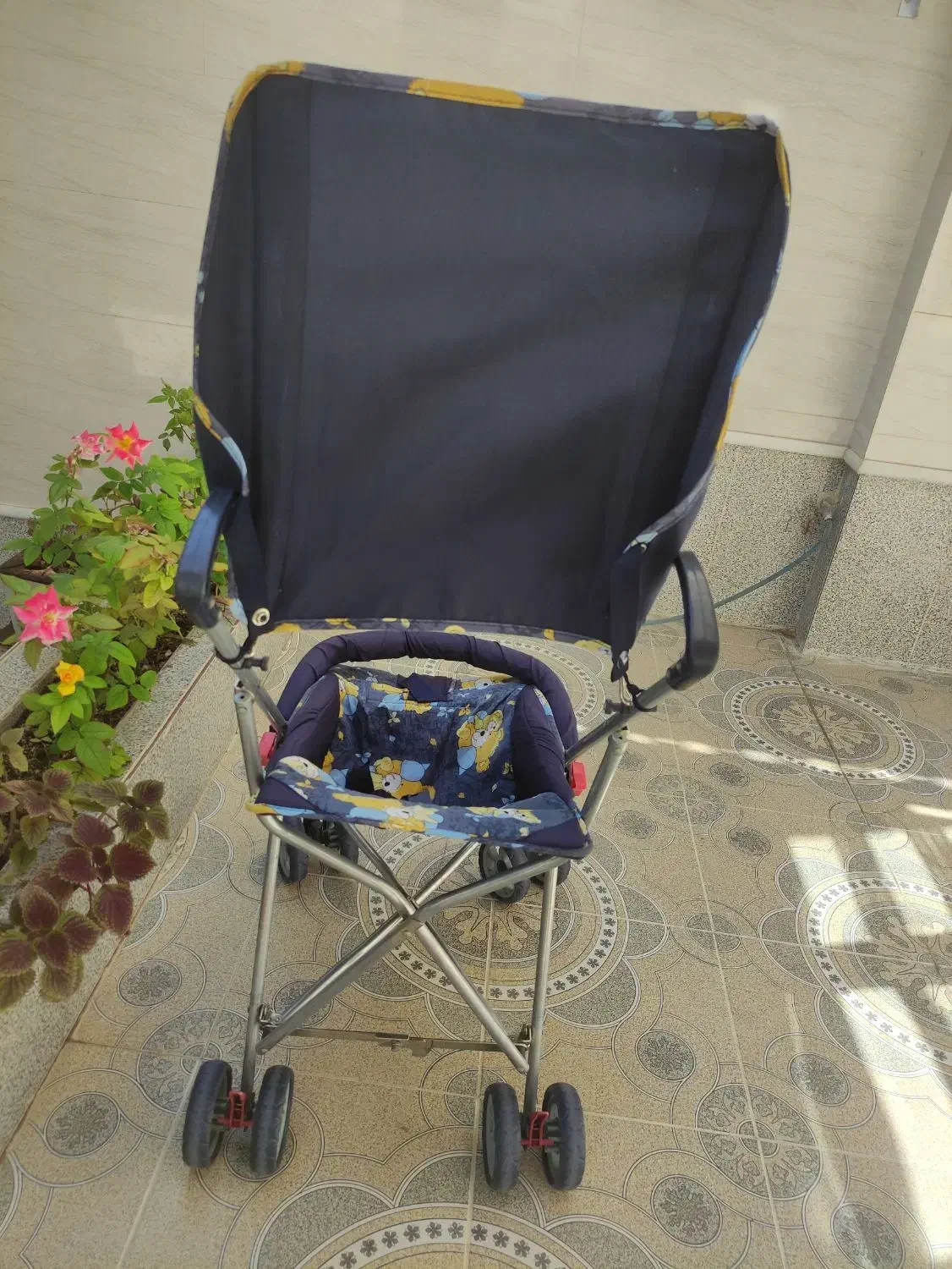 کالیسکه عسایی|کالسکه و لوازم جانبی|فسا, |دیوار