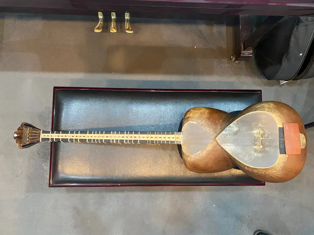 تار پنجه طاووسی|سازهای سنتی|دوگنبدان, |دیوار