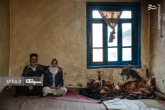 اجاره خانه روستایی تالش بخش قروق نزدیک دریا|اجارهٔ خانه و ویلا|تالش, جوکندان|دیوار