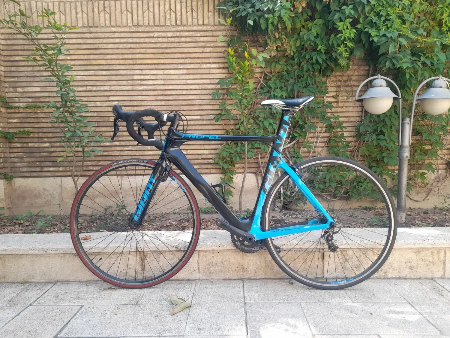دوچرخه کورسی جاینت پراپل giant propel|دوچرخه، اسکیت، اسکوتر|تهران, ولنجک|دیوار