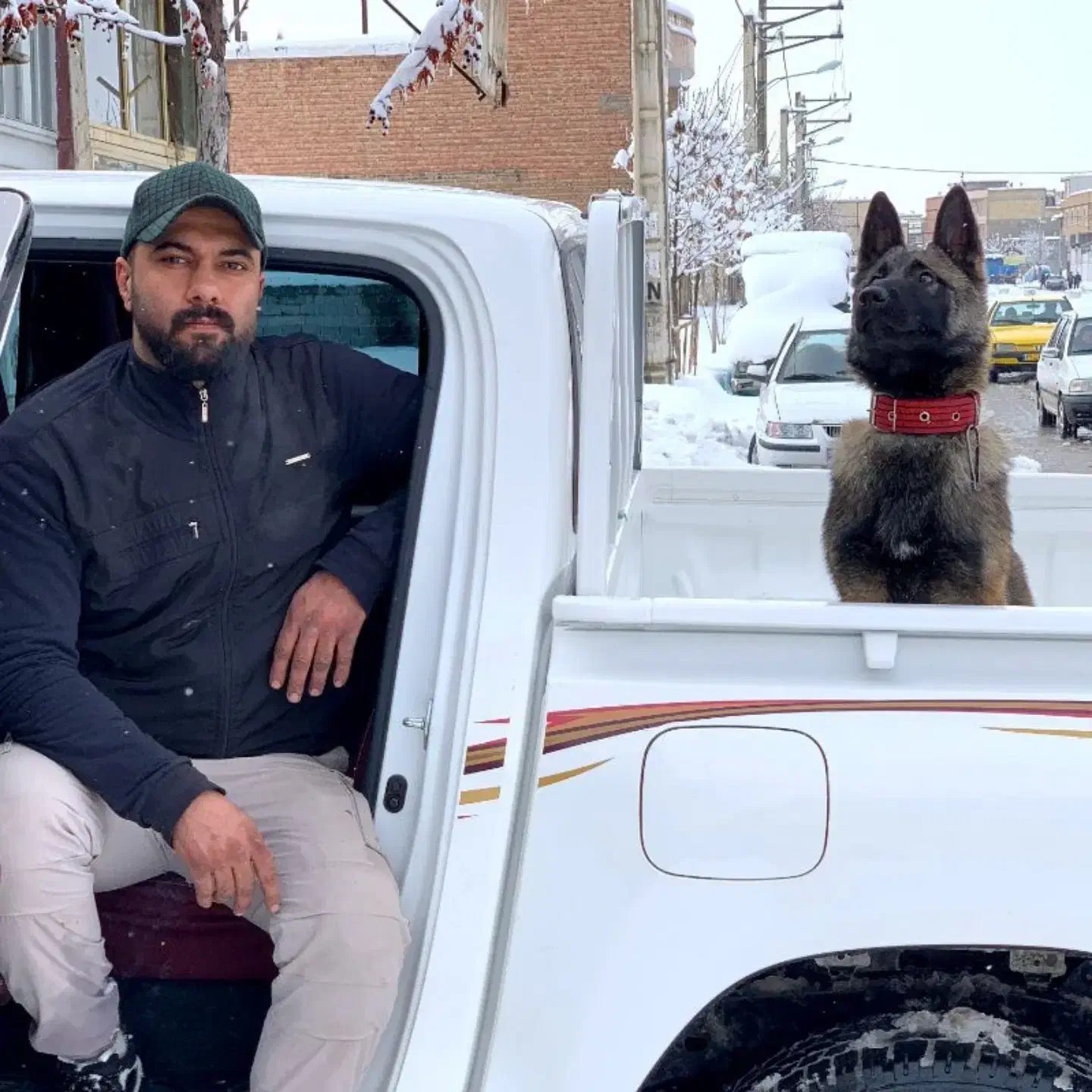 معاوضه مالینویز اصل با توله عراقی یا سرابی|سگ|ارومیه, |دیوار