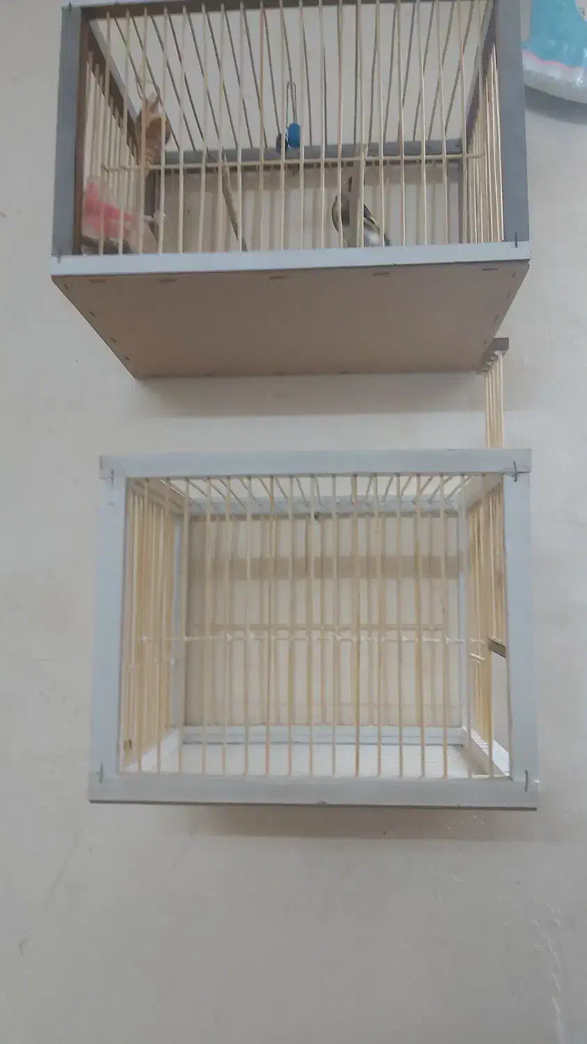 قفس جوبی  سهره|لوازم جانبی حیوانات|اردبیل, |دیوار