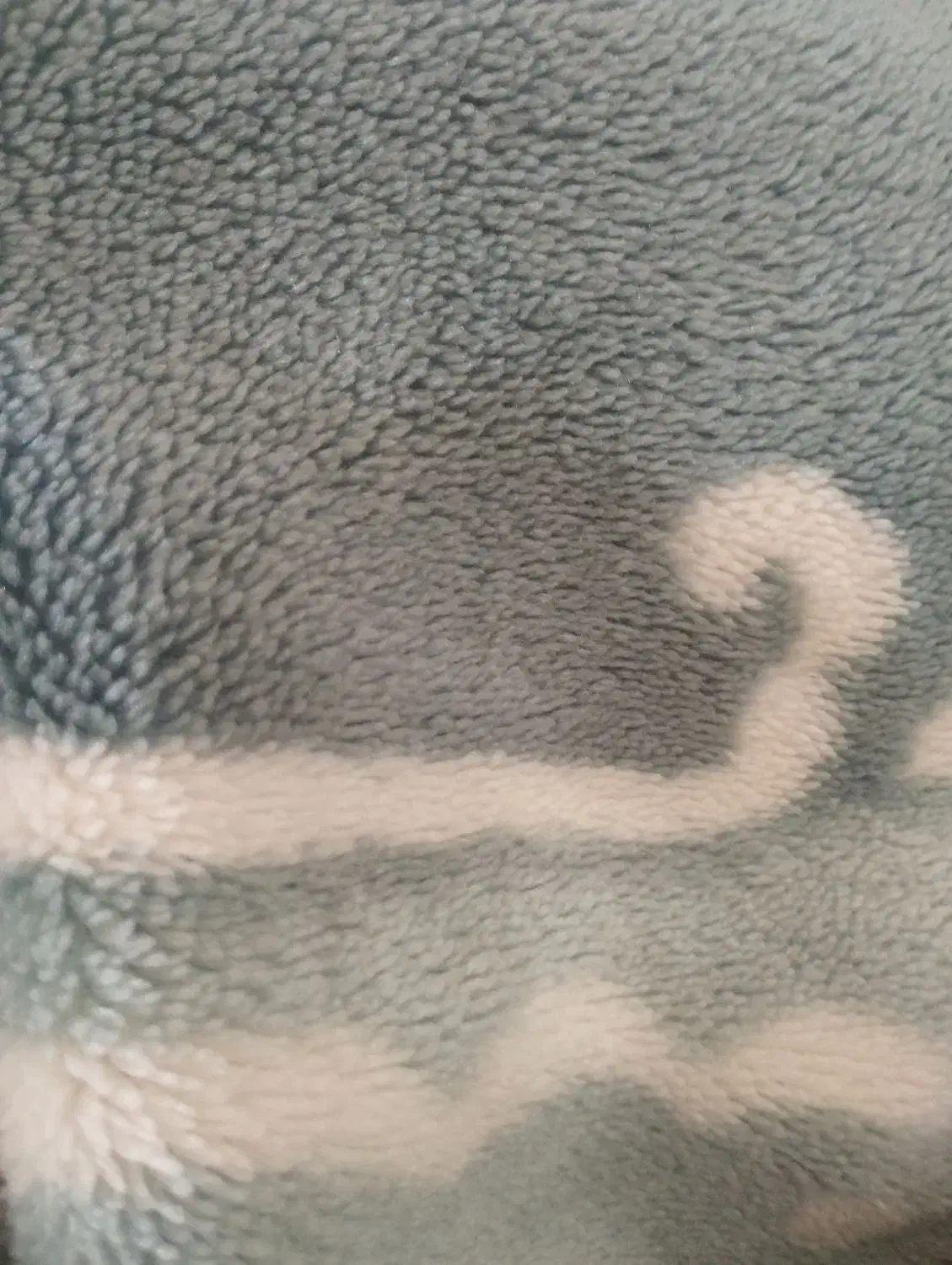 گم کردم|اشیا|سنندج, |دیوار