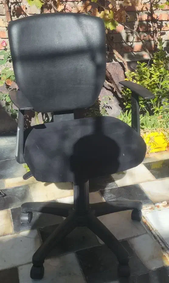 صندلی چرخ دار|صندلی و نیمکت|زاهدان, |دیوار