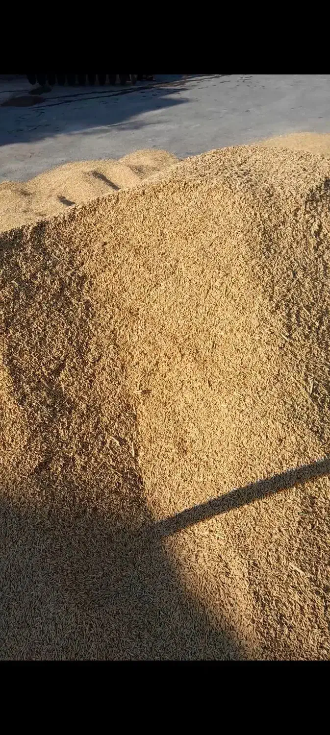 شوش|حراج|شوش, |دیوار