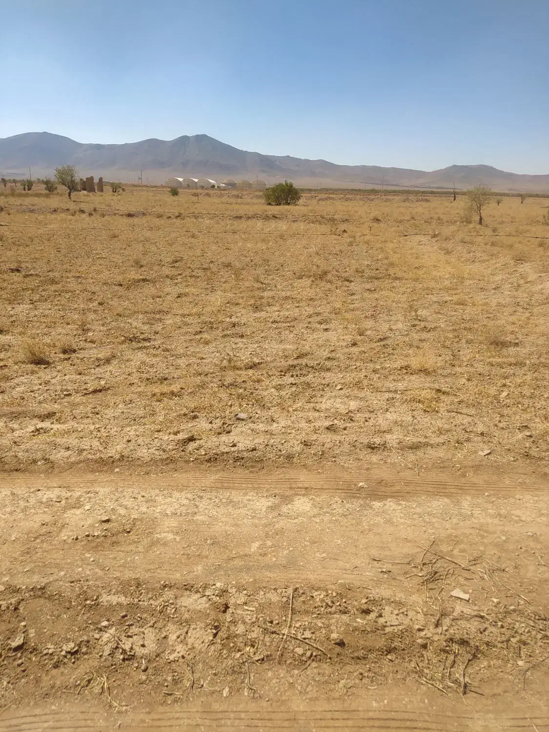 دوازده جریب زمین کشاورزی با شش جریب مجوز گلخانه|فروش زمین و ملک کلنگی|عسگران, |دیوار