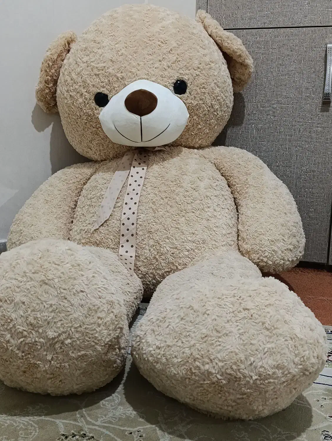 خرس شاسخین|اسباب‌‌بازی|ابهر, |دیوار