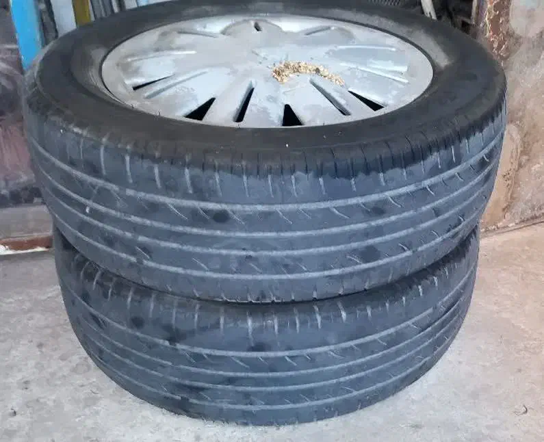 لاستیک سمند|قطعات یدکی و لوازم جانبی|سبزوار, پامنار|دیوار