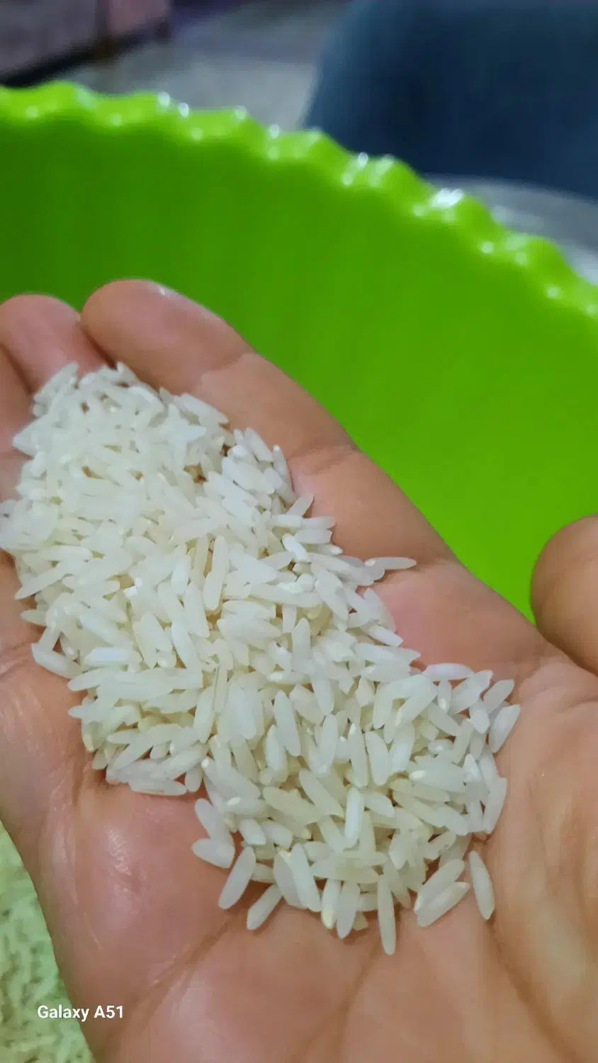 جوانه برنج طارم هاشمی درجه یک|خوردنی و آشامیدنی|آمل, |دیوار