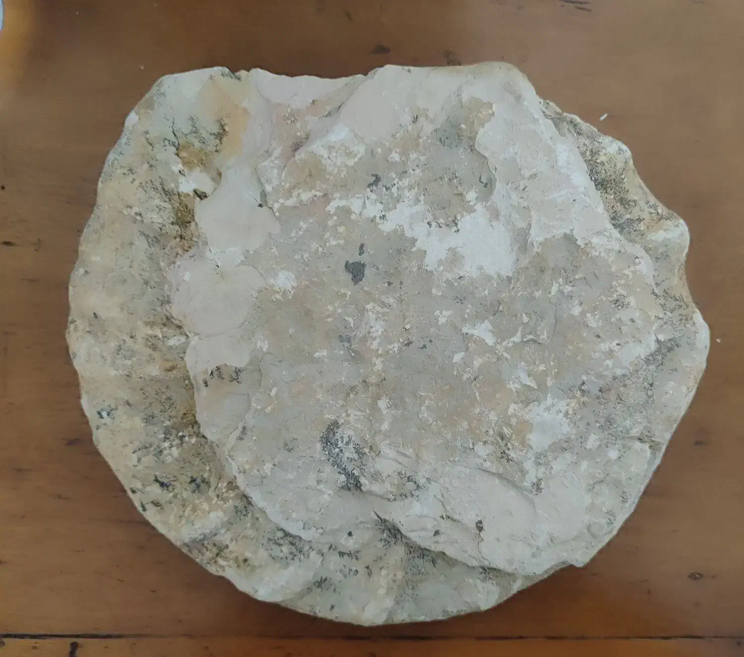 فسیل|کلکسیون اشیاء عتیقه|تهران, مختاری|دیوار