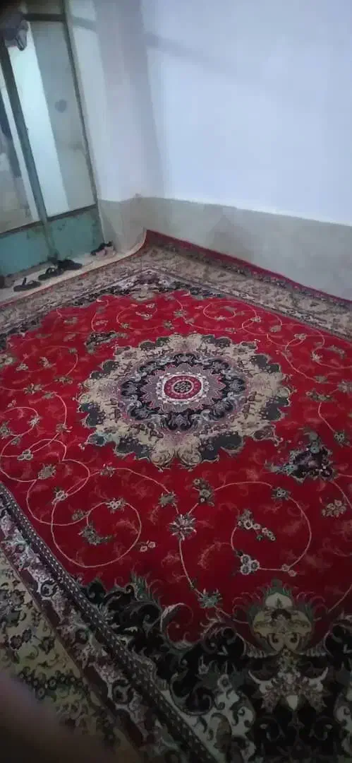 ۳ عدد قالی زرشکی|فرش|حبیب آباد, |دیوار