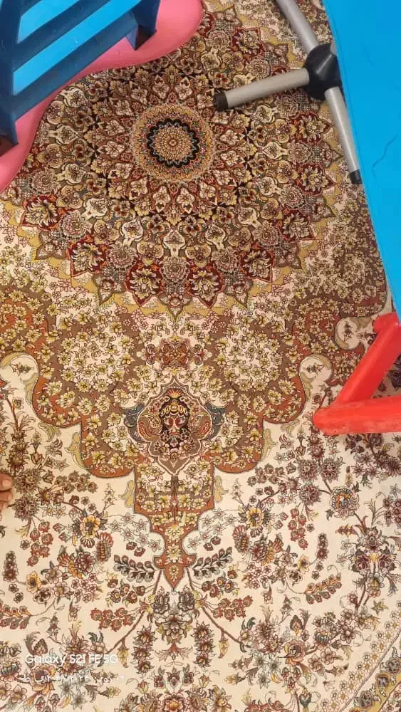 فرش۱۲ متری|فرش|زاهدان, |دیوار