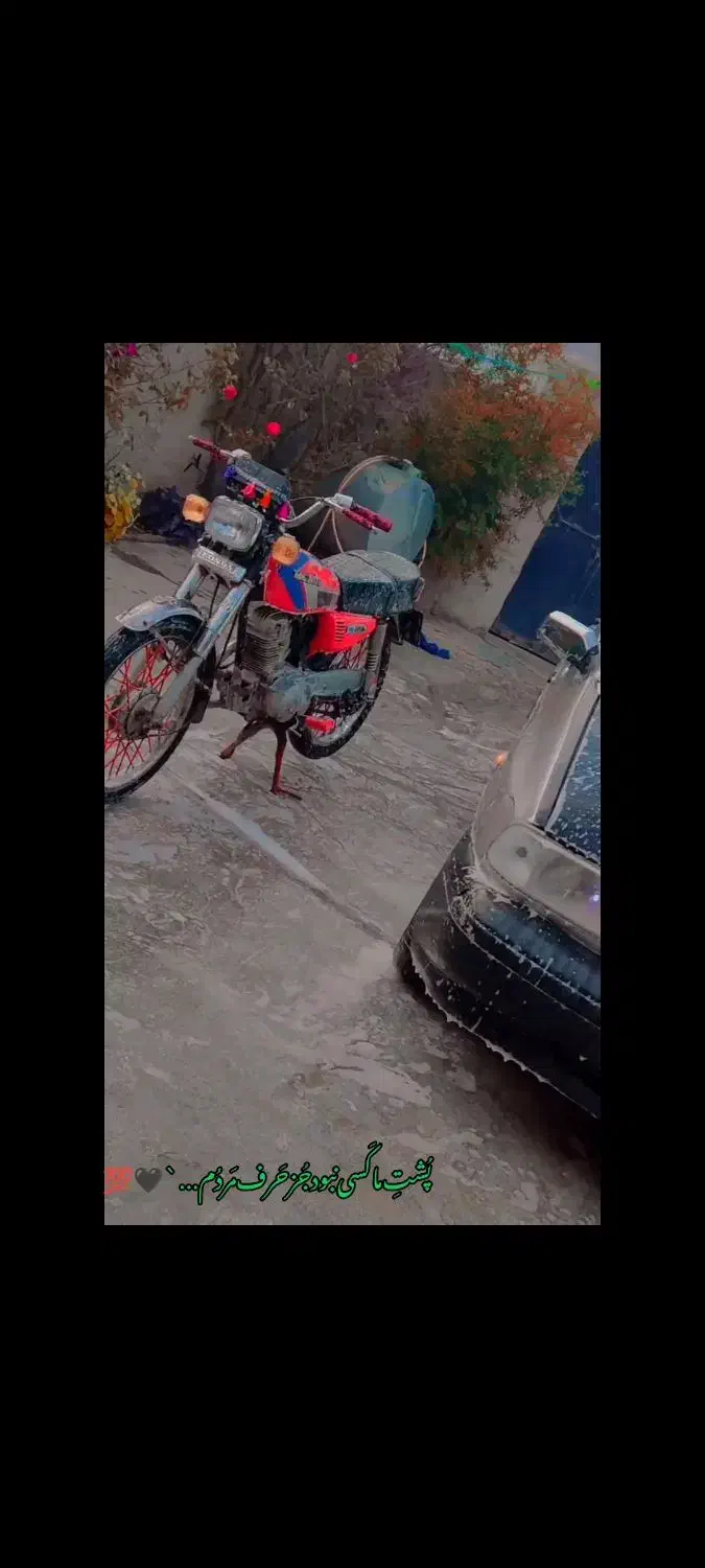 موتور 150|موتورسیکلت|آزادشهر, |دیوار