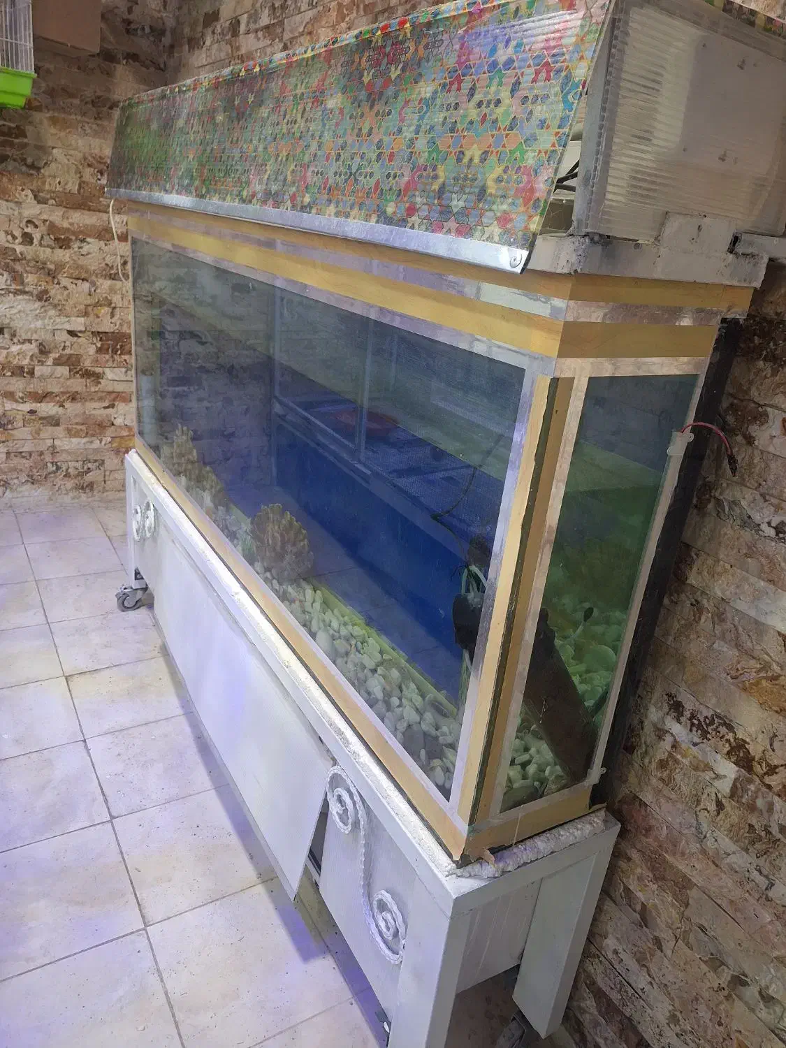 اکواریوم|ماهی|شهرکرد, |دیوار