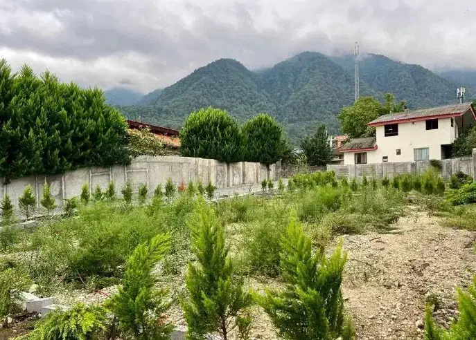 زمین با چشم‌انداز بی‌نظیر، مناسب ویلاسازی|فروش زمین و ملک کلنگی|پل سفید, |دیوار