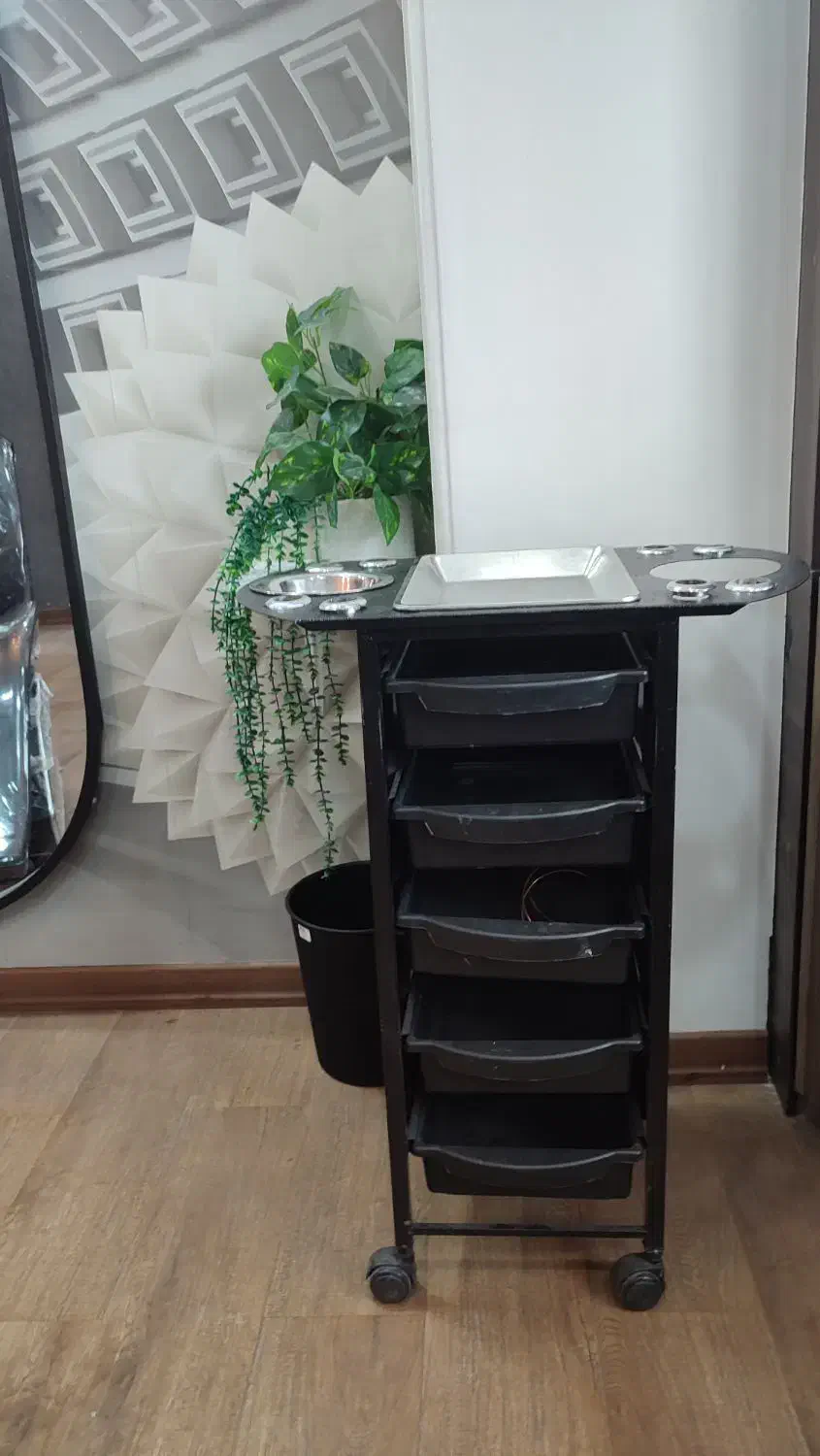 ترولی و صندلی چرمی جکدار|آرایشگاه و سالنهای زیبایی|رشت, دیانتی|دیوار