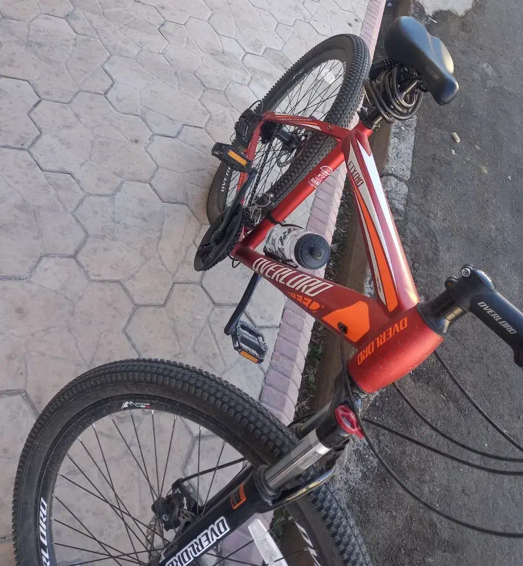 چرخ  26  اورلرد|دوچرخه، اسکیت، اسکوتر|تربت جام, شاد|دیوار