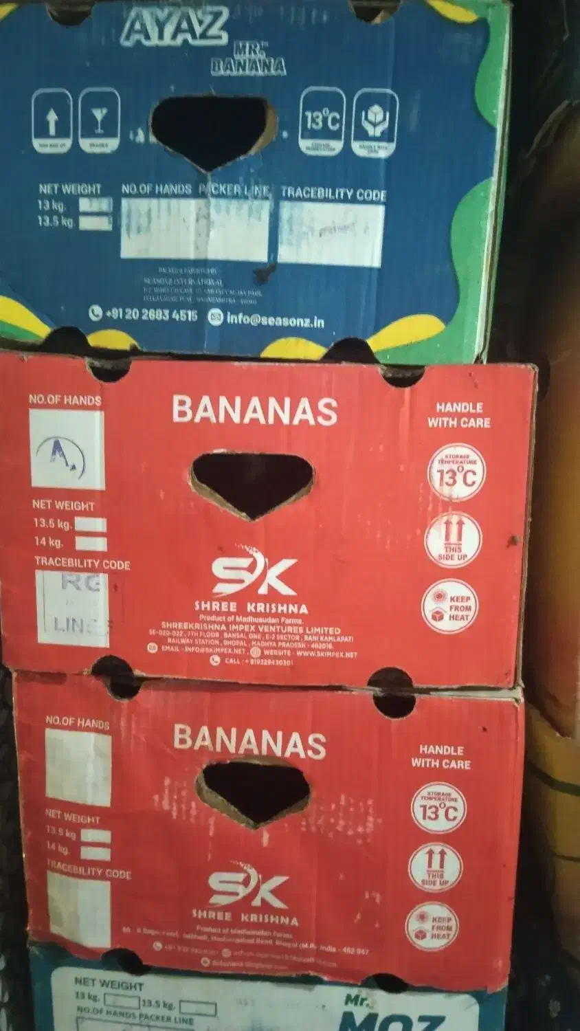 کارتون موزی|حراج|زابل, |دیوار