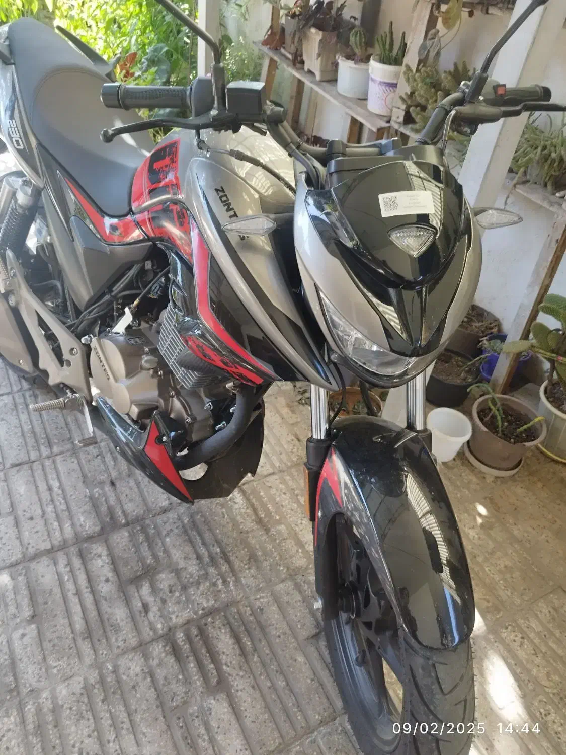 موتورسیکلت زونتس   Zontes 230 N2 کویر موتور|موتورسیکلت|رودسر, |دیوار